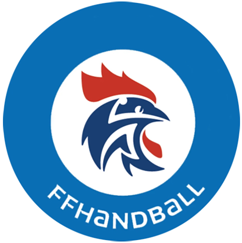Les pratiques Handball Comité Nord de Handball